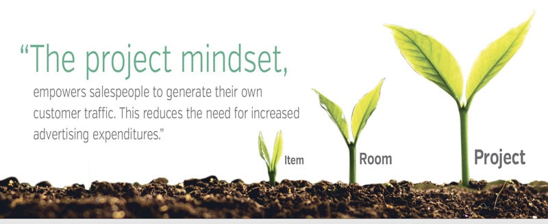 the project mindset